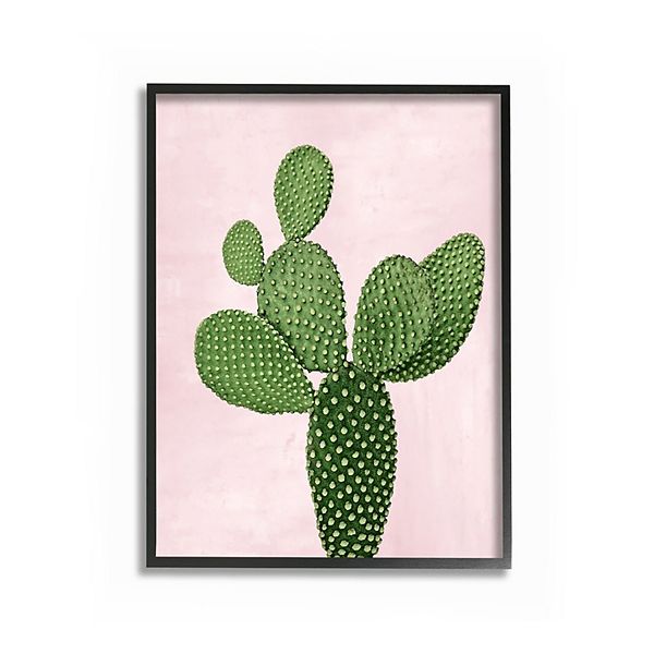 Stupell Home Decor Prickly Cactus Framed Wall Art