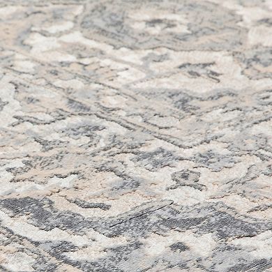 Rugs America Emali Gray Taupe Rug