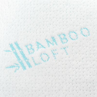 Essence of Bamboo 2 pack Pillow with Rayon from Bamboo Cover