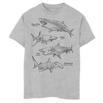 Boys 8-20 Shark Encyclopedia Simple Animal Sketch Graphic Tee