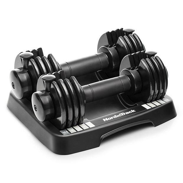 Dumbbells best sale 12.5 lbs