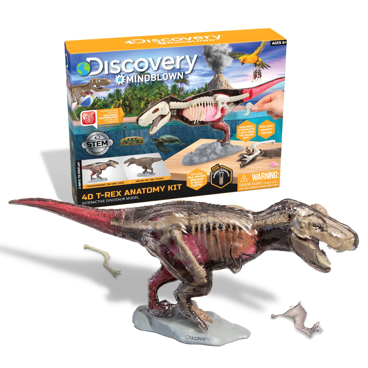 t rex anatomy kit