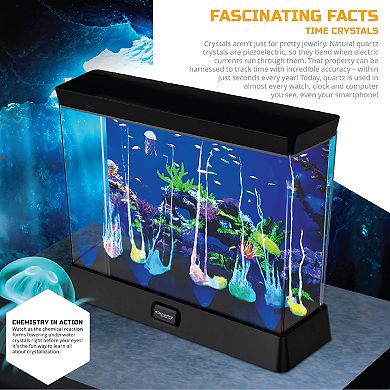 Discovery Mindblown Toy DIY Crystal Aquarium
