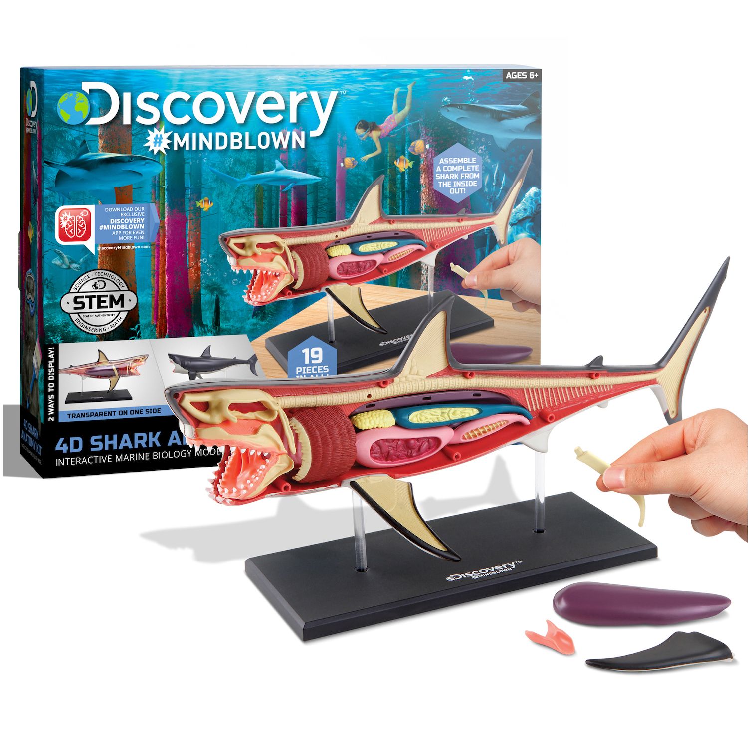 discovery shark toys