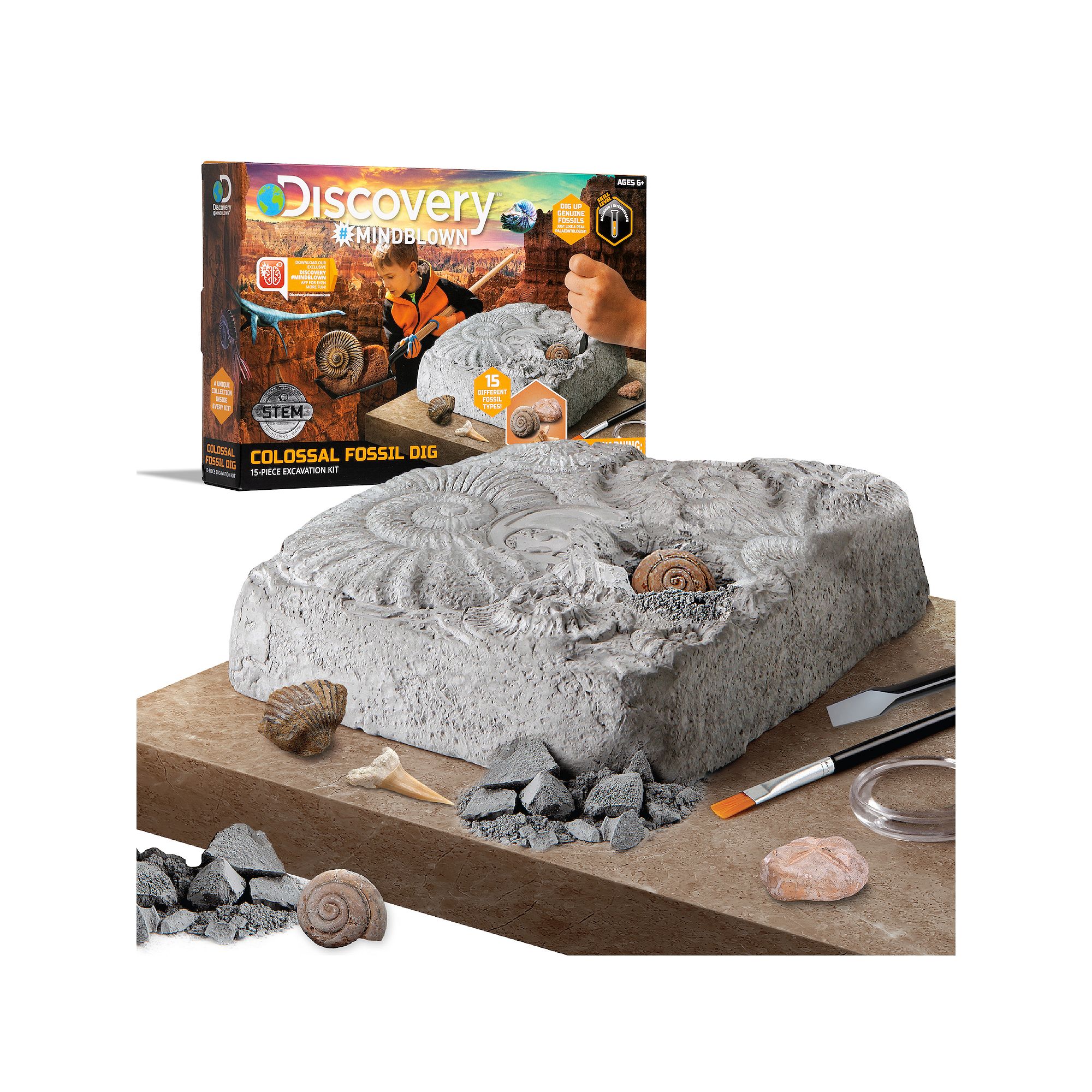 Discovery Mindblown Toy Fossil Excavation Kit 15-Piece Set, Multi