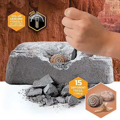 Discovery Mindblown Toy Fossil Excavation Kit 15-Piece Set