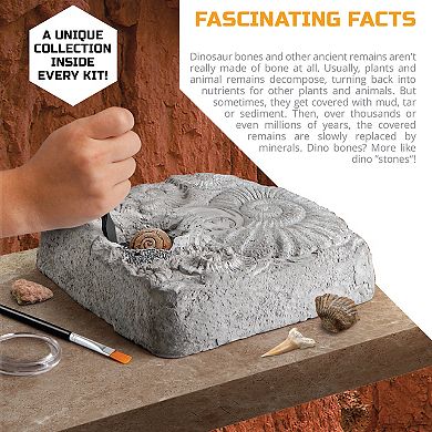 Discovery Mindblown Toy Fossil Excavation Kit 15-Piece Set