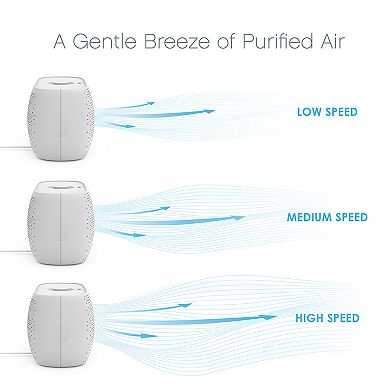 Pure Enrichment PureZone Breeze Tabletop 2-in-1 Air Purifier