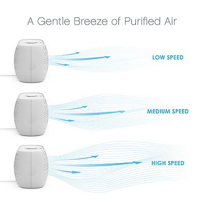 Pure Enrichment PureZone Breeze Tabletop 2-in-1 Air Purifier