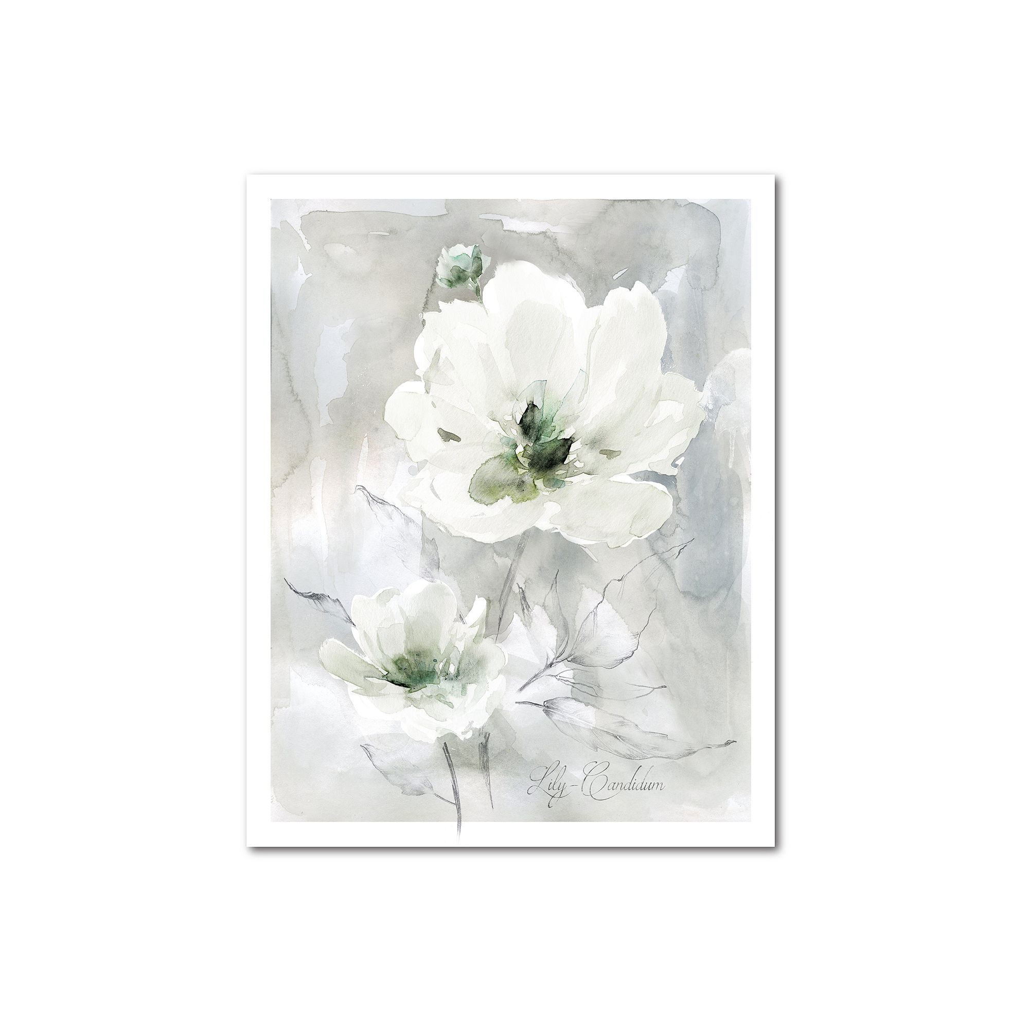 COURTSIDE MARKET White Anemone I Gallery Canvas Wall Art, Multi Color