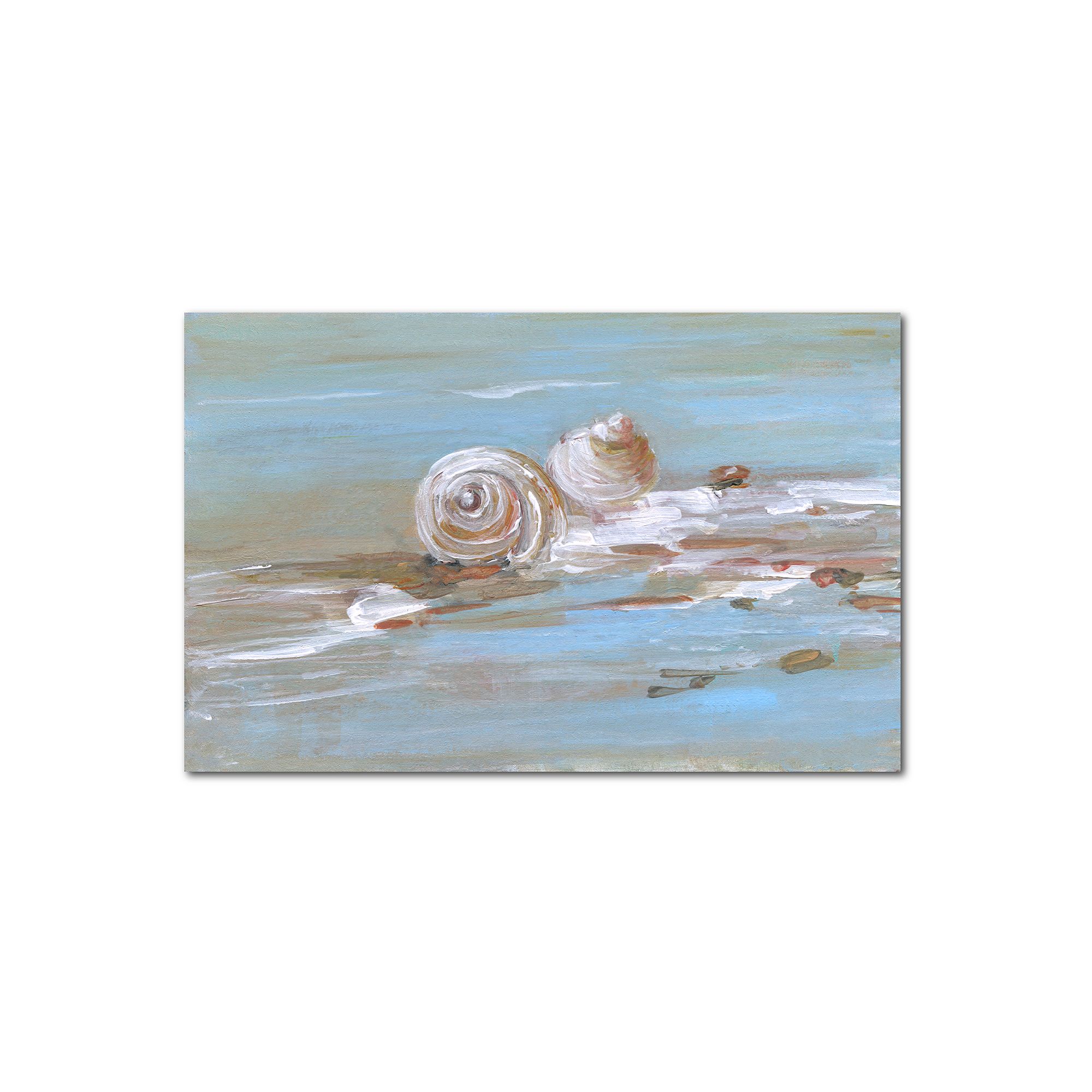 COURTSIDE MARKET Shore Shell II Gallery Canvas Wall Art, Multi Color