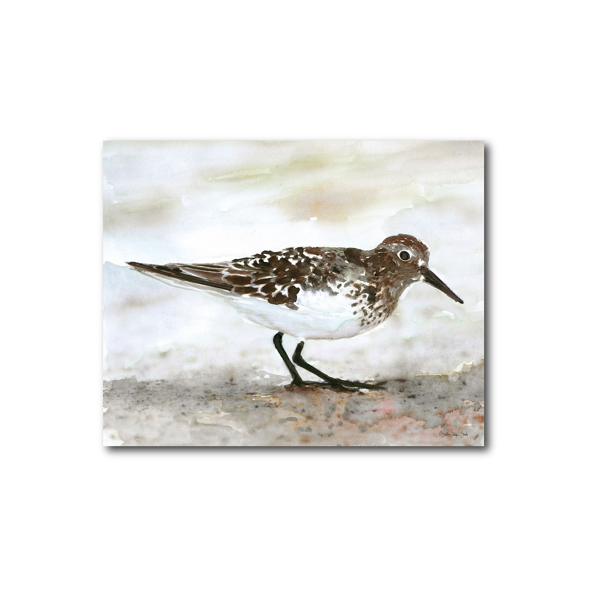 COURTSIDE MARKET Sandpiper I Gallery Canvas Wall Art, Multi Color