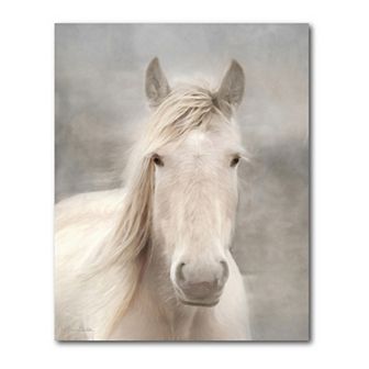 COURTSIDE MARKET White Horse Beauty I Gallery Canvas Wall Art