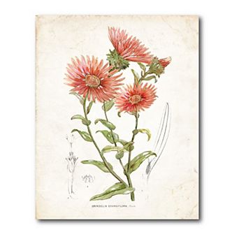 COURTSIDE MARKET Botanical I Gallery Canvas Wall Art