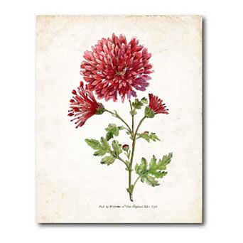 COURTSIDE MARKET Botanical III Gallery Canvas Wall Art