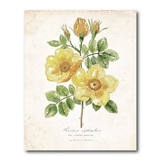 COURTSIDE MARKET Botanical IV Gallery Canvas Wall Art