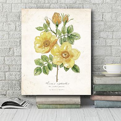 Courtside Market Botanical IV Gallery Canvas Wall Art