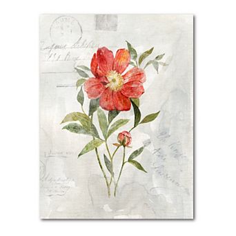 COURTSIDE MARKET Linen Peony Gallery Canvas Wall Art