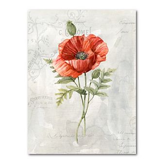 COURTSIDE MARKET Linen Poppy Gallery Canvas Wall Art