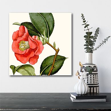 Courtside Market Antique Botanical III Canvas