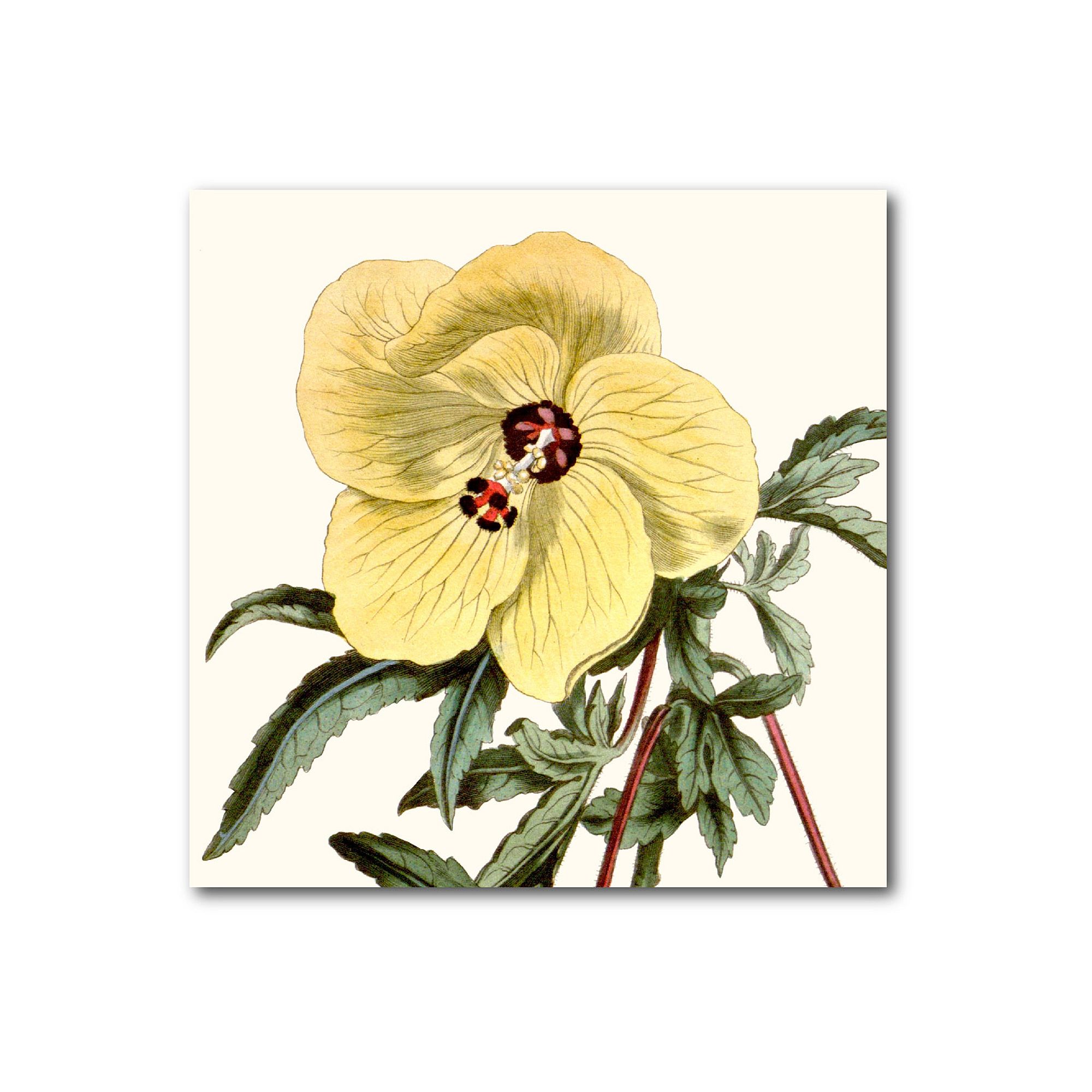 COURTSIDE MARKET Antique Yellow Botanical IV Canvas, Multi Color