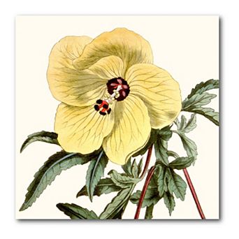 COURTSIDE MARKET Antique Yellow Botanical IV Canvas
