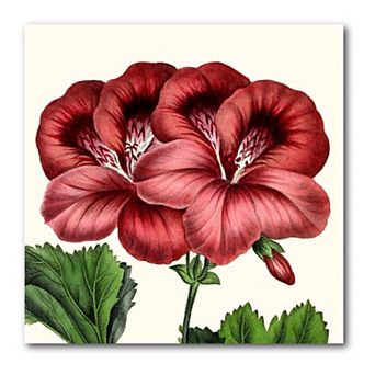 COURTSIDE MARKET Antique Botanical IV Canvas