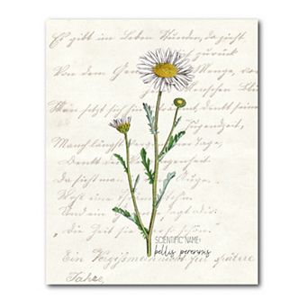 COURTSIDE MARKET Daisy I Gallery Canvas Wall Art