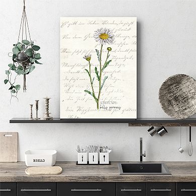 Courtside Market Daisy I Gallery Canvas Wall Art
