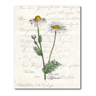 COURTSIDE MARKET Daisy II Gallery Canvas Wall Art