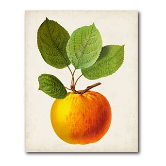 COURTSIDE MARKET Antique Fruit I Gallery Canvas Wall Art