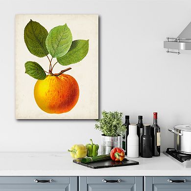 Courtside Market Antique Fruit I Gallery Canvas Wall Art