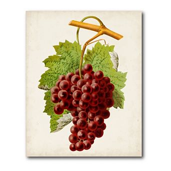 COURTSIDE MARKET Antique Fruit III Gallery Canvas Wall Art