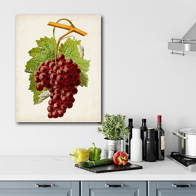 Courtside Market Antique Fruit III Gallery Canvas Wall Art