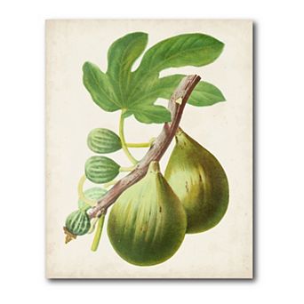 COURTSIDE MARKET Antique Fruit IV Gallery Canvas Wall Art