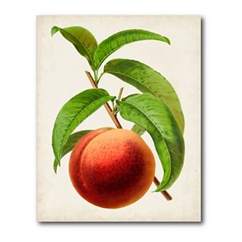 COURTSIDE MARKET Antique Fruit Ix Gallery Canvas Wall Art