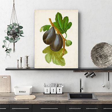 Courtside Market Antique Fruit V Gallery Canvas Wall Art