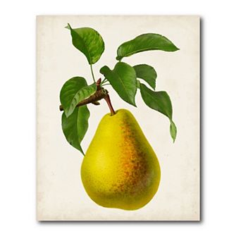 COURTSIDE MARKET Antique Fruit Vi Gallery Canvas Wall Art