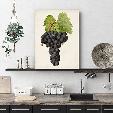 Courtside Market Antique Fruit Vii Gallery Canvas Wall Art