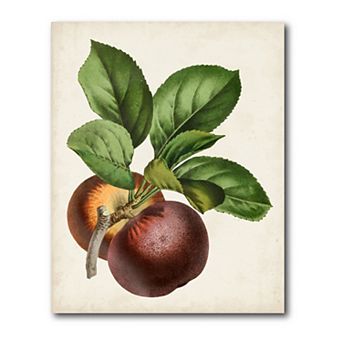 COURTSIDE MARKET Antique Fruit Viii Gallery Canvas Wall Art