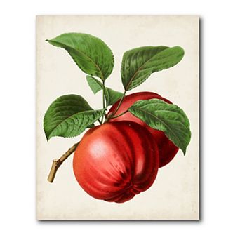 COURTSIDE MARKET Antique Fruit X Gallery Canvas Wall Art