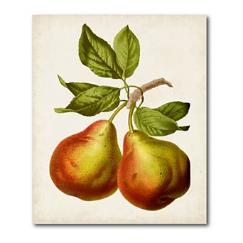 COURTSIDE MARKET Antique Fruit Xi Gallery Canvas Wall Art