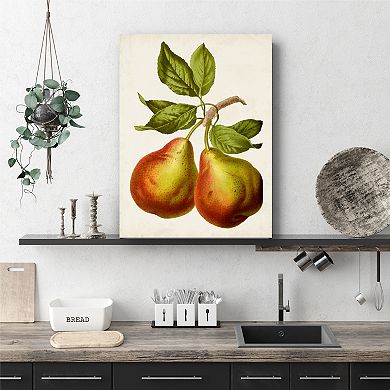 Courtside Market Antique Fruit Xi Gallery Canvas Wall Art