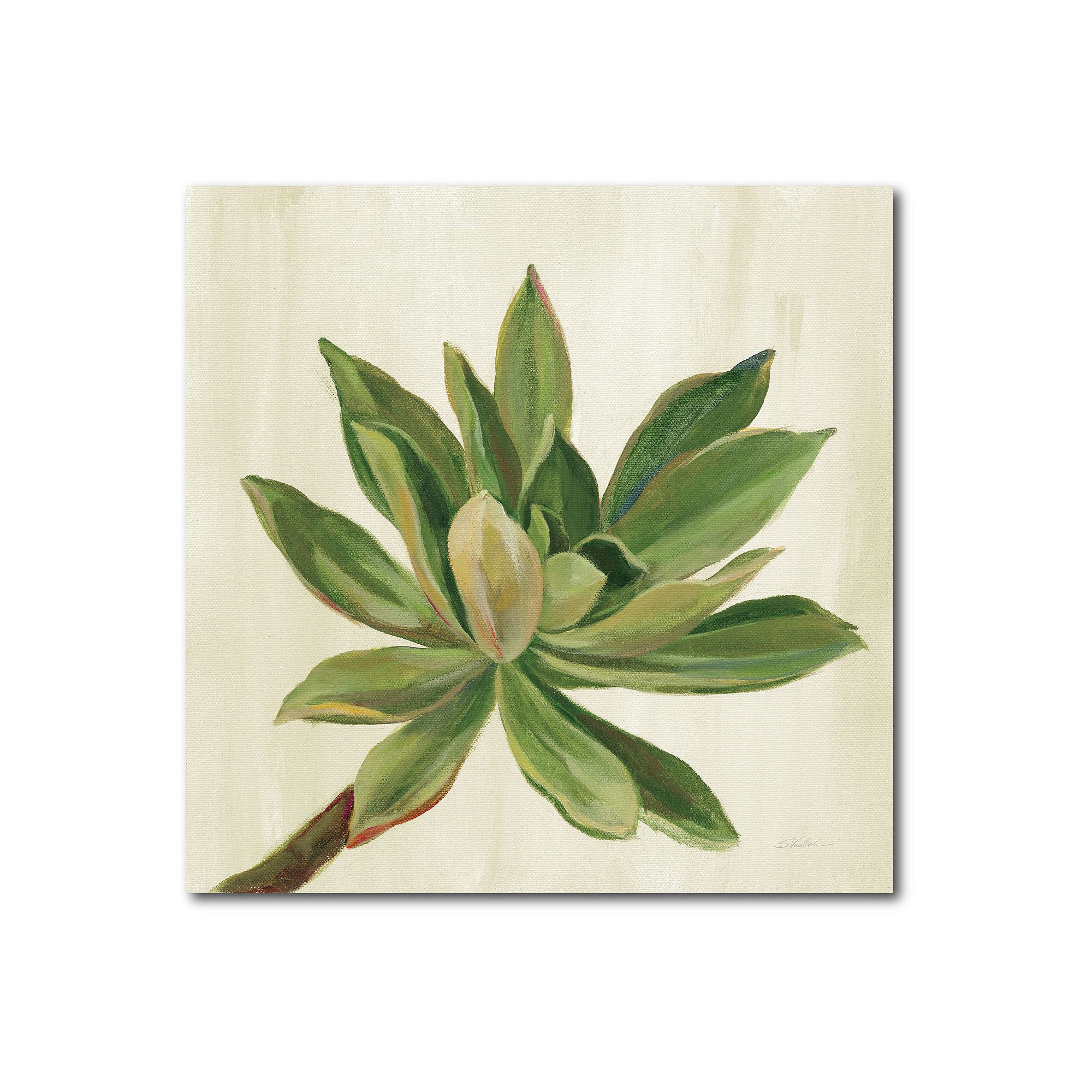 COURTSIDE MARKET Front Yard Succulent I Canvas, Multi Color