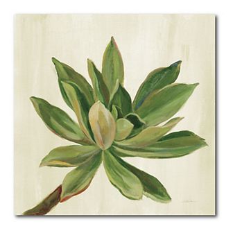 COURTSIDE MARKET Front Yard Succulent I Canvas