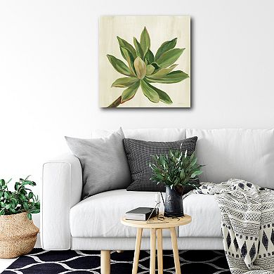 Courtside Market Front Yard Succulent I Canvas