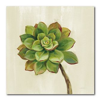 COURTSIDE MARKET Front Yard Succulent IV Canvas