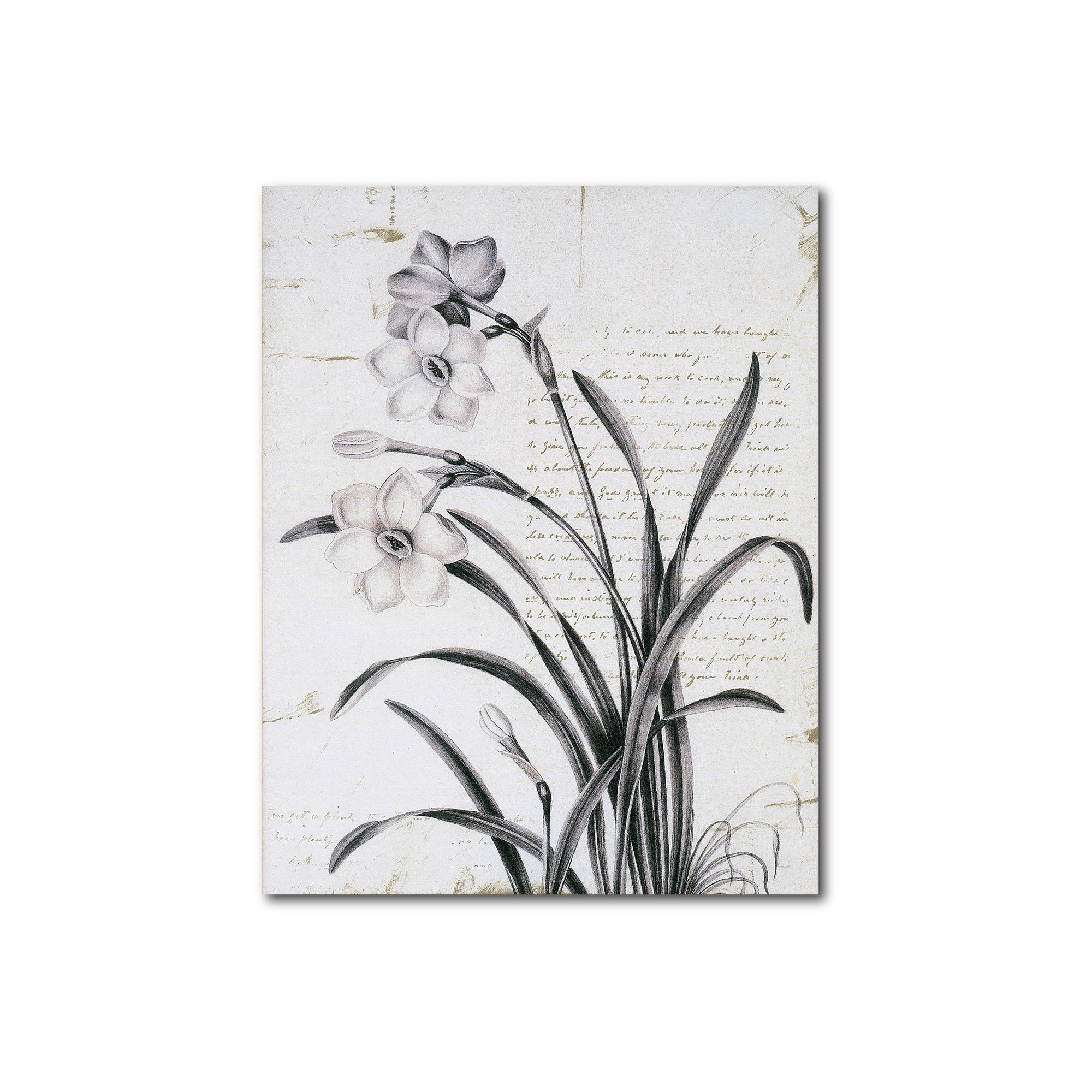 COURTSIDE MARKET Argyle Et Fleurs II Gallery Canvas Wall Art, Multi Color
