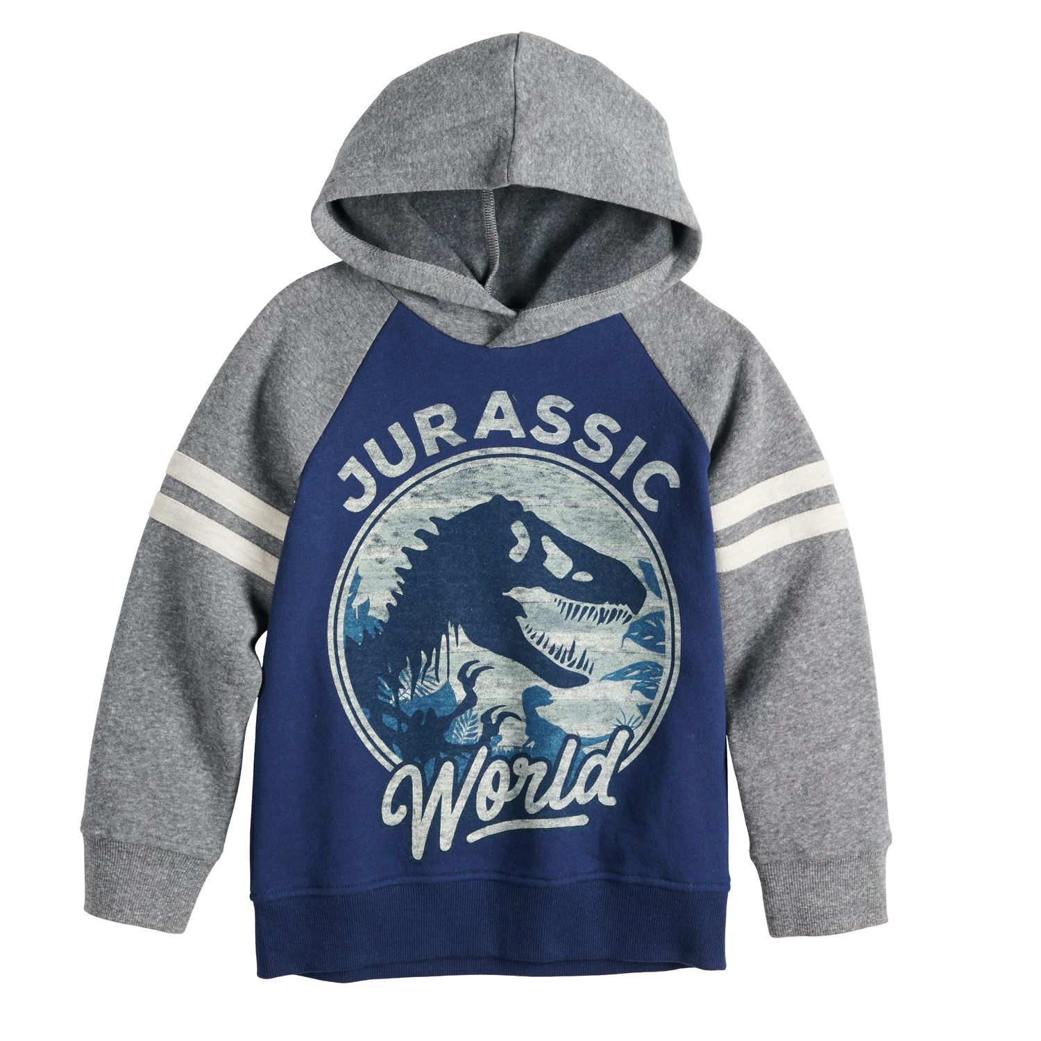 boys jurassic world hoodie