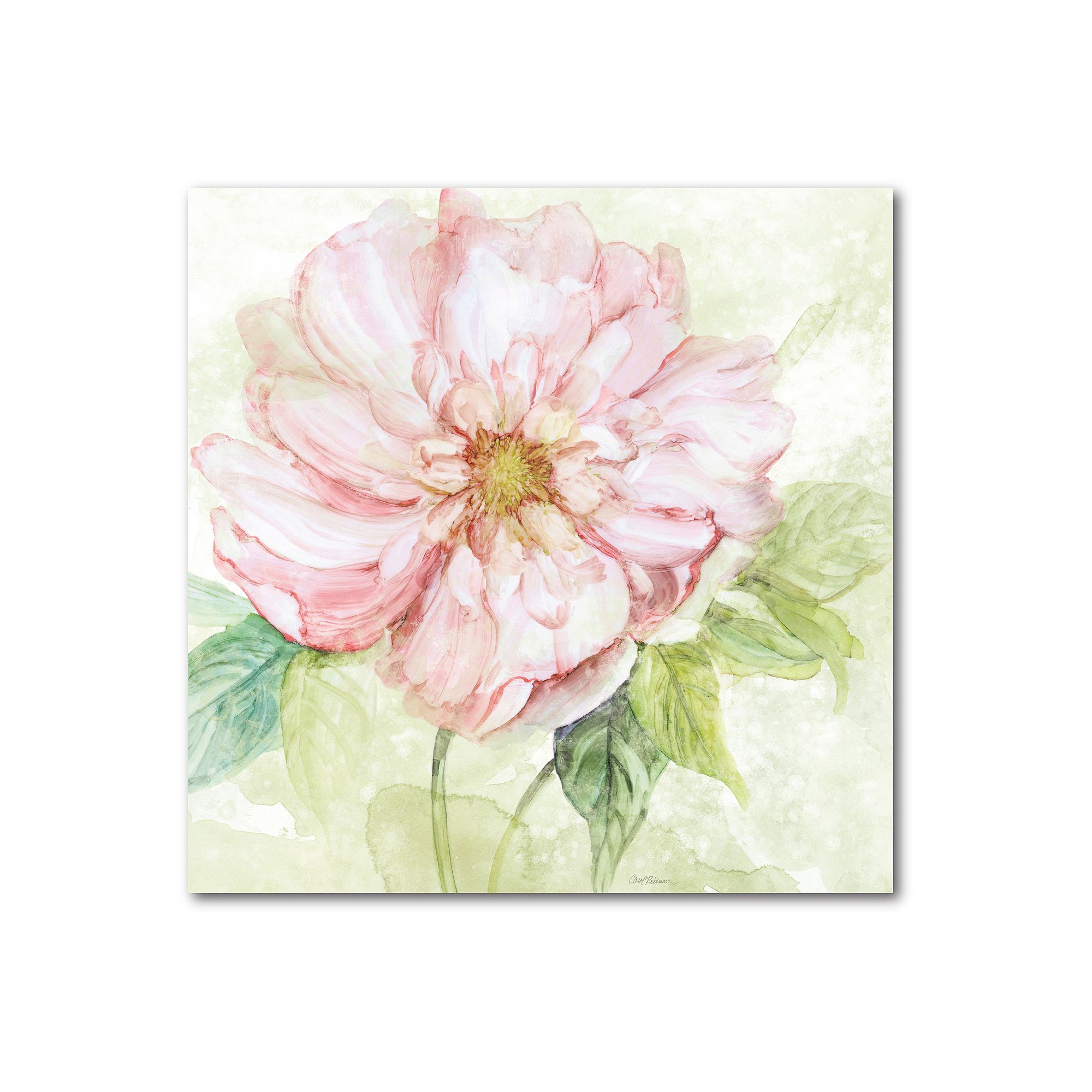 COURTSIDE MARKET Pink Flower Gallery Canvas Wall Art, Multi Color